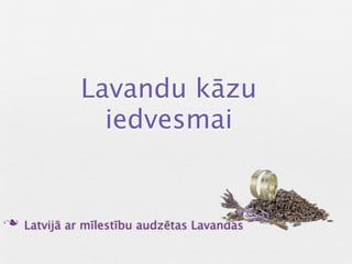 Lavandu kāzu
               iedvesmai


n Latvijā ar mīlestību audzētas Lavandas
 