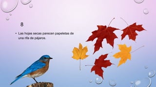 8
• Las hojas secas parecen papeletas de
una rifa de pájaros.
 