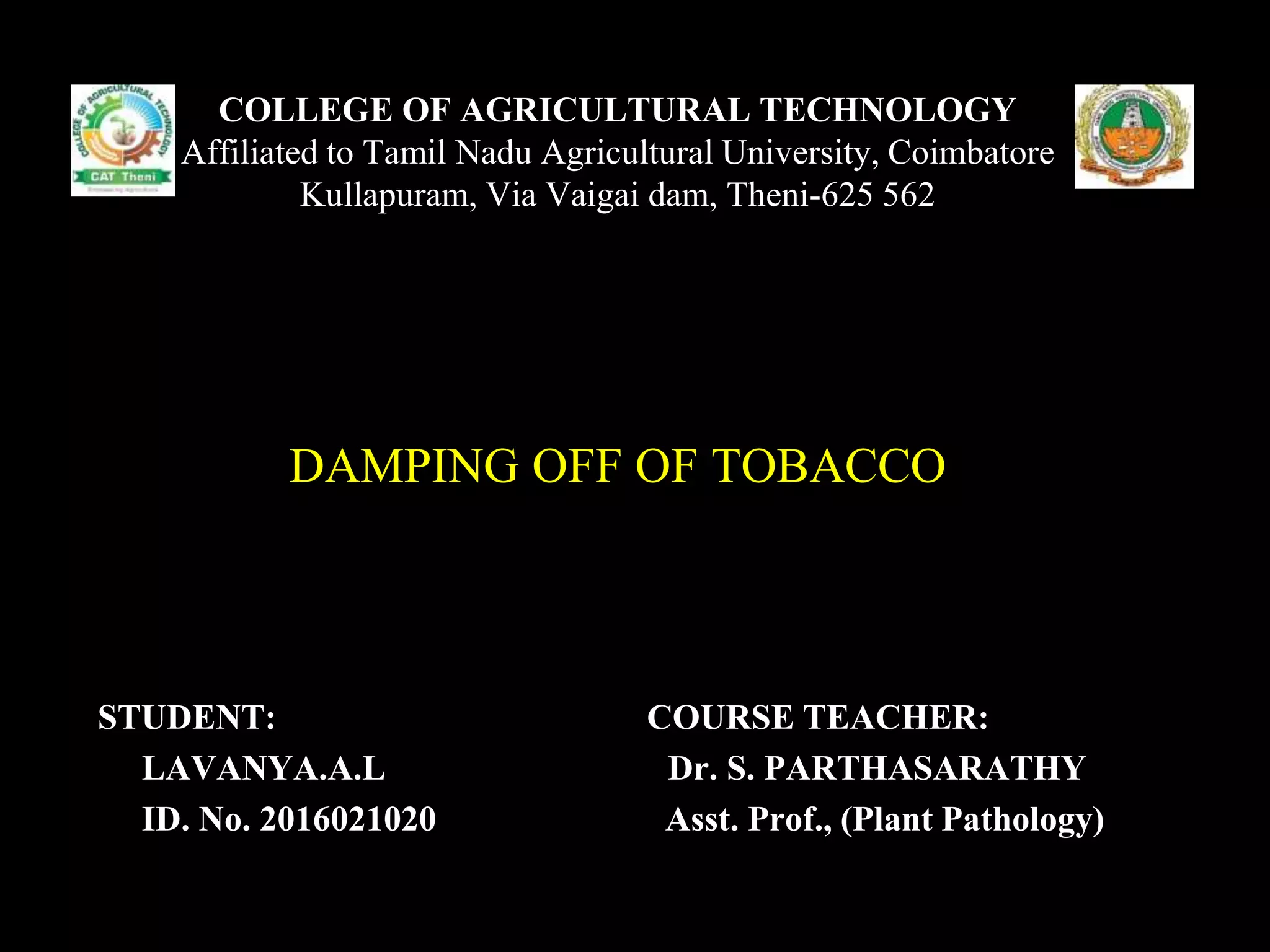 damping off of tobacco Watch for Rhizoctonia Diseases in Float Beds Damping-Off Diseases in the Garden