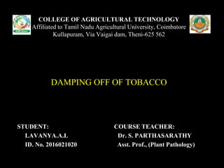 STUDENT: COURSE TEACHER:
LAVANYA.A.L Dr. S. PARTHASARATHY
ID. No. 2016021020 Asst. Prof., (Plant Pathology)
COLLEGE OF AGRICULTURAL TECHNOLOGY
Affiliated to Tamil Nadu Agricultural University, Coimbatore
Kullapuram, Via Vaigai dam, Theni-625 562
DAMPING OFF OF TOBACCO
 