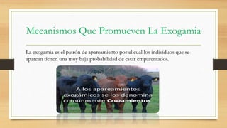 Mecanismos Que Promueven La Exogamia
La exogamia es el patrón de apareamiento por el cual los individuos que se
aparean tienen una muy baja probabilidad de estar emparentados.
 