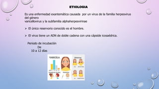 ETIOLOGIA
Es una enfermedad exantemática causada por un virus de la familia herpesvirus
del género
varicellovirus y la subfamilia alphaherpesvirinae
 El único reservorio conocido es el hombre.
 El virus tiene un ADN de doble cadena con una cápside icosaédrica.
Periodo de incubación
De
10 a 12 días
 