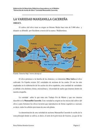 Elaboración de Materiales Didácticos Innovadores en el Módulo:
“Extracción de Aceite de Oliva” Variedad Manzanilla Cacereña.
_________________________________________________________________________
Rosa Fátima Román Carrero Página 2
LLAA VVAARRIIEEDDAADD MMAANNZZAANNIILLLLAA CCAACCEERREEÑÑAA
ORIGEN.
El cultivo del olivo tiene su origen en Oriente Medio hace más de 5.000 años y
después se difundió por Occidente a través de la cuenca Mediterránea.
Fuente: historia http://www.dcoop.es/
El olivo pertenece a la familia de las oleáceas y se denomina Olea Sativa al olivo
cultivado. En España existen 262 variedades de aceituna de las cuales 24 son las más
empleadas en la elaboración de los aceites de oliva españoles, esta cantidad de variedades
es debida a los distintos climas, microclimas y diversidad de suelos que tenemos dentro de
nuestra orografía.
La variedad sobre la que trata este Trabajo Fin de Máster y que nos interesa
describir es la Manzanilla Cacereña. Esta variedad se originó en los inicios del cultivo del
olivo y para formarse los olivos tuvieron que reproducirse de forma vegetativa o asexual,
es decir, todos los arboles provienen de una sola planta.
La denominación de esta variedad de aceituna Manzanilla Cacereña lo recibe de la
zona principal donde se cultiva, es decir, el norte de la provincia de Cáceres, ya que de las
 