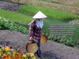 Cada uno de nosotros tiene sus propias grietas. Todos somos vasijas agrietadas, pero debemos saber que siempre existe la posibilidad de aprovechar las grietas para obtener buenos resultados.  