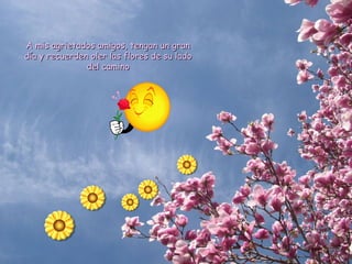 A mis agrietados amigos, tengan un gran día y recuerden oler las flores de su lado del camino 