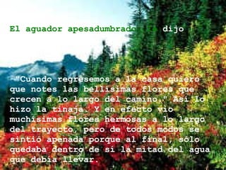 El aguador apesadumbrado, le  dijo compasivamente: "Cuando regresemos a la casa quiero que notes las bellísimas flores que crecen a lo largo del camino." Así lo hizo la tinaja. Y en efecto vio muchísimas flores hermosas a lo largo del trayecto, pero de todos modos se sintió apenada porque al final, sólo quedaba dentro de sí la mitad del agua  que debía llevar.  