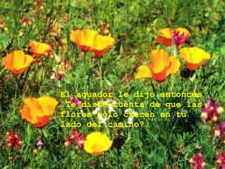 El aguador le dijo entonces "Te diste cuenta de que las flores sólo crecen en tu lado del camino?.  