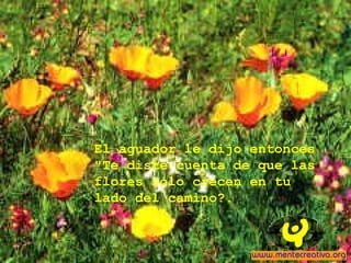 El aguador le dijo entonces
"Te diste cuenta de que las
flores sólo crecen en tu
lado del camino?.
 