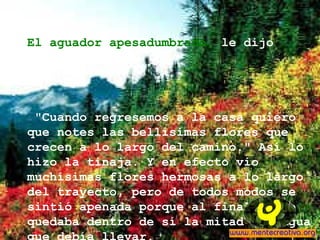 El aguador apesadumbrado,  le dijo compasivamente: "Cuando regresemos a la casa quiero que notes las bellísimas flores que crecen a lo largo del camino." Así lo hizo la tinaja. Y en efecto vio muchísimas flores hermosas a lo largo del trayecto, pero de todos modos se sintió apenada porque al final, sólo quedaba dentro de sí la mitad del agua  que debía llevar.  