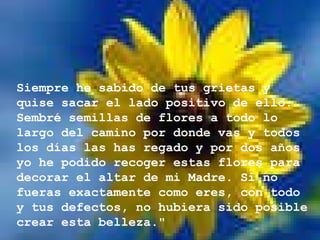 Siempre he sabido de tus grietas y quise sacar el lado positivo de ello. Sembré semillas de flores a todo lo largo del camino por donde vas y todos los días las has regado y por dos años yo he podido recoger estas flores para decorar el altar de mi Madre. Si no fueras exactamente como eres, con todo y tus defectos, no hubiera sido posible crear esta belleza."   