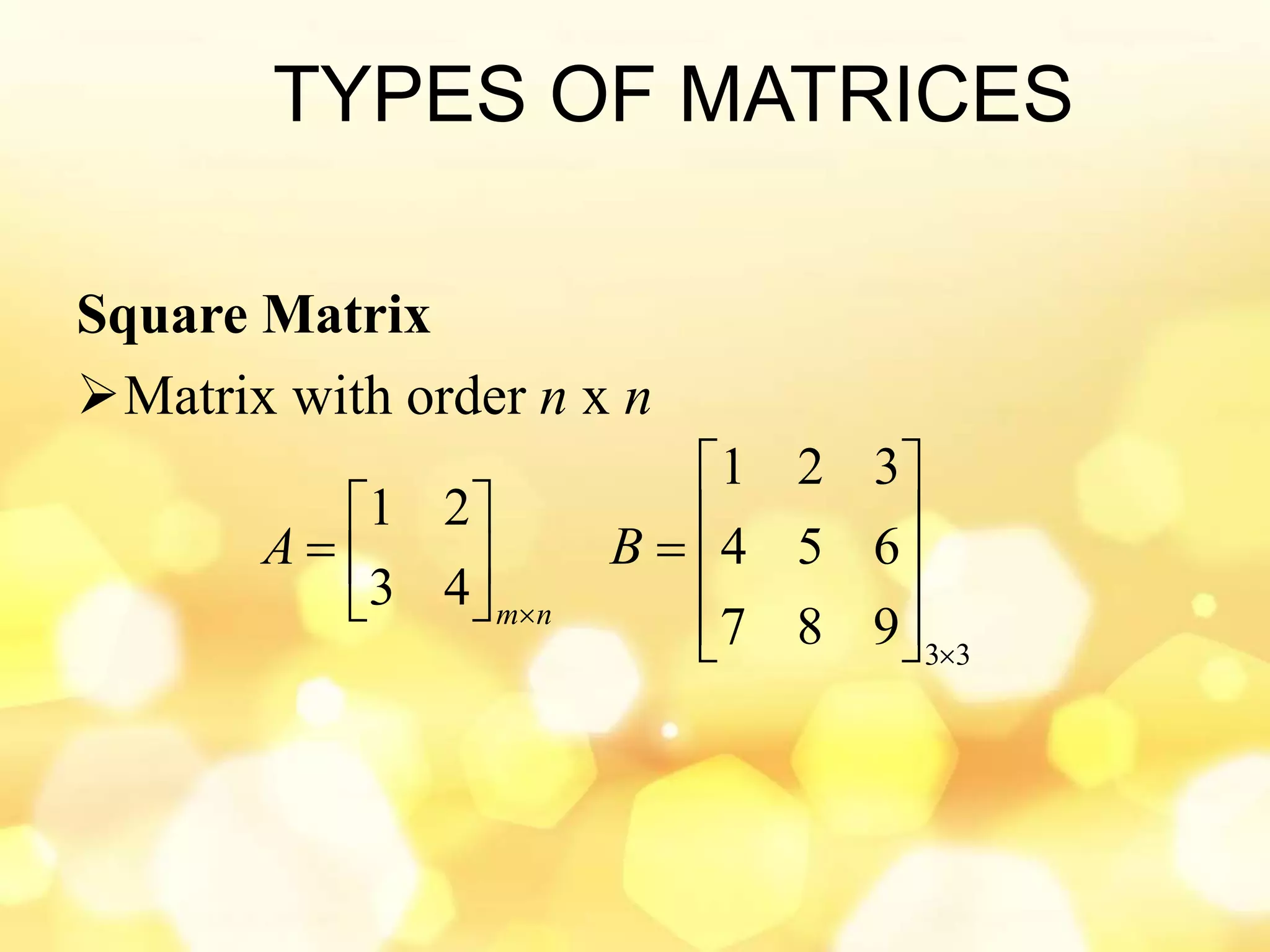 Matrices and System of Linear Equations ppt | PPTX | Physics | Science