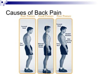 Lavc Health 12 First Aid Muscles Bones Joints Injuries Spring 2007 | PPT