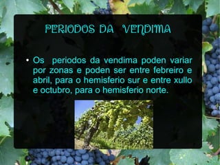 PERIODOS DA VENDIMA
●

Os periodos da vendima poden variar
por zonas e poden ser entre febreiro e
abril, para o hemisferio sur e entre xullo
e octubro, para o hemisferio norte.

 