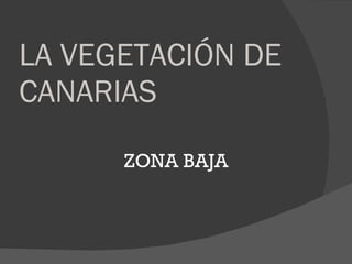 LA VEGETACIÓN DE CANARIAS ZONA BAJA