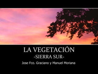 LA VEGETACIÓN
       -SIERRA SUR-
Jose Fco. Graciano y Manuel Moriana
 