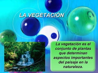 LA VEGETACIÓN
La vegetación es el
conjunto de plantas
que determinan
aspectos importantes
del paisaje en la
naturaleza.
 