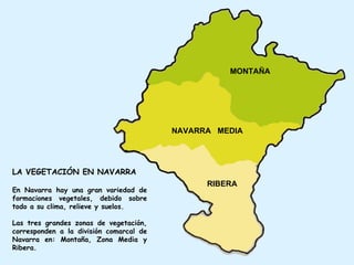 MONTAÑA NAVARRA  MEDIA RIBERA LA VEGETACIÓN EN NAVARRA En Navarra hay una gran variedad de formaciones vegetales, debido sobre todo a su clima, relieve y suelos. Las tres grandes zonas de vegetación, corresponden a la división comarcal de Navarra en: Montaña, Zona Media y Ribera.  