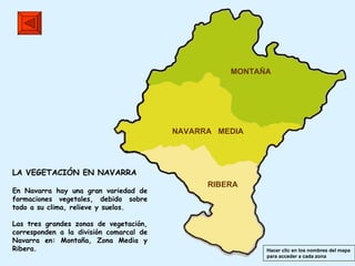 MONTAÑA NAVARRA   MEDIA RIBERA LA VEGETACIÓN EN NAVARRA En Navarra hay una gran variedad de formaciones vegetales, debido sobre todo a su clima, relieve y suelos. Las tres grandes zonas de vegetación, corresponden a la división comarcal de Navarra en: Montaña, Zona Media y Ribera.  Hacer clic en los nombres del mapa para acceder a cada zona  