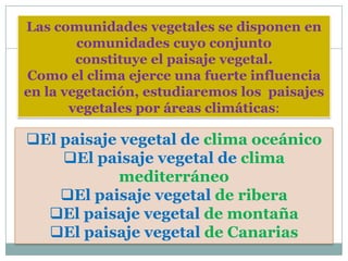 Las comunidades vegetales se disponen en
        comunidades cuyo conjunto
        constituye el paisaje vegetal.
Como el clima ejerce una fuerte influencia
en la vegetación, estudiaremos los paisajes
       vegetales por áreas climáticas:

El paisaje vegetal de clima oceánico
    El paisaje vegetal de clima
            mediterráneo
    El paisaje vegetal de ribera
  El paisaje vegetal de montaña
  El paisaje vegetal de Canarias
 
