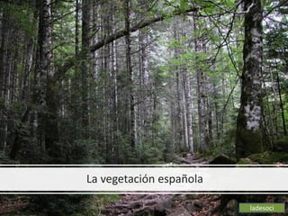 La vegetación española
ladesoci
 
