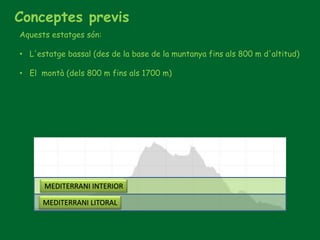 Conceptes previs
Aquests estatges són:
• L'estatge bassal (des de la base de la muntanya fins als 800 m d'altitud)
• El montà (dels 800 m fins als 1700 m)
MEDITERRANI INTERIOR
MEDITERRANI LITORAL
 