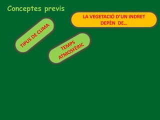 Conceptes previs
LA VEGETACIÓ D’UN INDRET
DEPÈN DE…
 