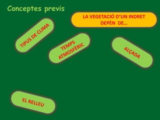 Conceptes previs
LA VEGETACIÓ D’UN INDRET
DEPÈN DE…
 