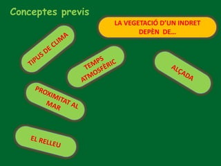 Conceptes previs
LA VEGETACIÓ D’UN INDRET
DEPÈN DE…
 