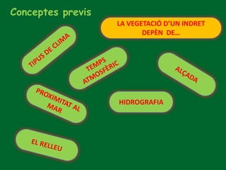 Conceptes previs
LA VEGETACIÓ D’UN INDRET
DEPÈN DE…
HIDROGRAFIA
 