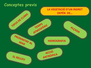 Conceptes previs
LA VEGETACIÓ D’UN INDRET
DEPÈN DE…
HIDROGRAFIA
 