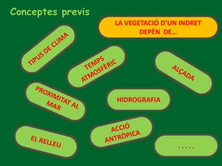 Conceptes previs
LA VEGETACIÓ D’UN INDRET
DEPÈN DE…
. . . . .
HIDROGRAFIA
 