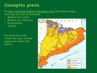 Conceptes previs
El clima condiciona l’hábitat dels éssers vius. Recordem el mapa
dels tipus de clima de Catalunya:
• Mediterrani Litoral.
• Mediterrani d’Interior.
• De Muntanya.
• Atlàntic.
Els dos primers són
climes més secs i els dos
segons són climes més
húmits.
 