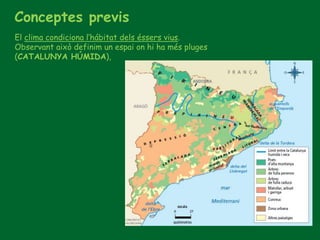 Conceptes previs
El clima condiciona l’hábitat dels éssers vius.
Observant això definim un espai on hi ha més pluges
(CATALUNYA HÚMIDA),
 