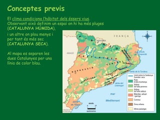Conceptes previs
El clima condiciona l’hábitat dels éssers vius.
Observant això definim un espai on hi ha més pluges
(CATALUNYA HÚMIDA),
i un altre on plou menys i
per tant és més sec
(CATALUNYA SECA).
Al mapa es separen les
dues Catalunyes per una
línia de color blau.
 
