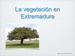 La vegetación en 
Extremadura 
Miguel Ángel Hernández López 
 