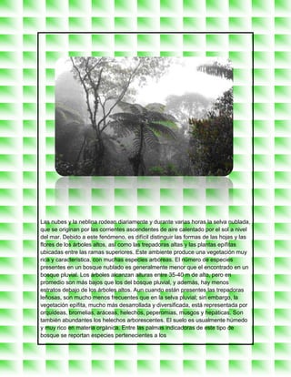 Las nubes y la neblina rodean diariamente y durante varias horas la selva nublada,
que se originan por las corrientes ascendentes de aire calentado por el sol a nivel
del mar. Debido a este fenómeno, es difícil distinguir las formas de las hojas y las
flores de los árboles altos, así como las trepadoras altas y las plantas epífitas
ubicadas entre las ramas superiores. Este ambiente produce una vegetación muy
rica y característica, con muchas especies arbóreas. El número de especies
presentes en un bosque nublado es generalmente menor que el encontrado en un
bosque pluvial. Los árboles alcanzan alturas entre 35-40 m de alto, pero en
promedio son más bajos que los del bosque pluvial, y además, hay menos
estratos debajo de los árboles altos. Aun cuando están presentes las trepadoras
leñosas, son mucho menos frecuentes que en la selva pluvial; sin embargo, la
vegetación epífita, mucho más desarrollada y diversificada, está representada por
orquídeas, bromelias, aráceas, helechos, peperomias, musgos y hepáticas. Son
también abundantes los helechos arborescentes. El suelo es usualmente húmedo
y muy rico en materia orgánica. Entre las palmas indicadoras de este tipo de
bosque se reportan especies pertenecientes a los
 