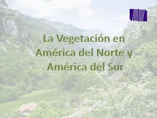 La Vegetación en  América del Norte y  América del Sur 