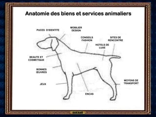 Anatomie des biens et services animaliers

                         MOBILIER
      PUCES D’IDENTITE    DESIGN

           ...
