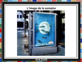 L’image de la semaine 