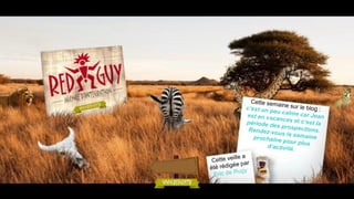 La veille de Red Guy du 06.06.12 : les stratégies de ciblage