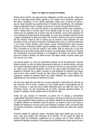 Caso: La vejez no es para los flojos.<br />Keela yacía inmóvil, sus ojos oscuros reflejaban el dolor que sentía. Cada vez que me acercaba para tocarla, gemía y me miraba como diciendo: ayúdame, por favor, ayúdame. Yo no `podía soportarlo. Sabia que mi perra se moría y que la mejor decisión que podía tomar mi familia era sacrificarla. Sin embargo, seguía esperando que un milagro reviviera a mi perra y le permitiera correr y<br />jugar un día mas- ¿Por qué los perros y las personas tenían que envejecer y morir? Keela entró a formar parte de la familia antes de que yo naciera, de modo que en realidad era el primer hijo de la familia, era la más pequeña de una camada de cuatro perros esquimales, la única que quedaba cuando mamá y papá contestaron el aviso que decía Se venden cachorros de perro esquimal de tres meses. Papá le dijo a mamá que el cachorro mas pequeño de una camada no era una buena inversión. Probablemente seria un animal enfermizo y no viviría mucho tiempo, pero Keela, cuyos enternecedores ojos oscuros parecía como si llevaran anillos negros pintados a su alrededor, metió su nariz fría y húmeda en el oído de mamá y eso bastó. Ella no escuchó ni una sola palabra de lo que decía papá sobre la salud y la longevidad, hicieron un cheque por doscientos cincuenta dólares y lo entregaron al criador de perros. Mamá tomó en brazos a Keela y la metió al auto. De algún modo, la perra sabía que iba camino a su casa. <br />Los perros tienen un ciclo de crecimiento distinto al de las personas. Cuando Keela cumplió un año ya había alcanzado la talla de un animal adulto, aunque en muchos aspectos seguía siendo un cachorro. No era un perro grande, como un collie, pero tampoco pequeño como el de esas razas diminutas que no superan el tamaño de un gato. Cuando yo era pequeño su tamaño era mayor que el mío, pero cuando cumplí los diez años me llegaba a las rodillas. Por supuesto, cuando se paraba sobre sus patas traseras aun podía apoyar las delanteras en mis hombros y lamerme la cara.<br />Se dice que cada año de vida de un perro equivale a siete años de vida de un ser humano. Por lo tanto, cuando yo nací, Keela tenía el equivalente de 22 años humanos, o sea que tenía edad suficiente para ser algo así como una hermana mayor. En los recuerdos de mi niñez, siempre aparece Keela, no puedo ni imaginar cómo hubiera sido mi familia sin ella....<br />Antes de que naciera mi hermano, la perra era mi amiga y compañera inseparable. Recuerdo cómo era en esa época. Aunque mi hermano era el peor niño que el destino haya enviado a una familia, Keela le brindó generosamente su afecto. Mickey no entendía nada de perros. Le tiraba la cola o las orejas o trataba de treparse a su lomo para que lo llevara a pasear, pero a la perra esto no parecía importarle. Supongo que lo aceptaba porque era parte de nuestra familia.<br />Cuando estaba en segundo grado, resultaba claro para Keela que yo era su amo, más que ningún otro miembro de la familia. Yo era quien le daba de comer todas las mañanas, jugábamos en el parque con el disco volador y también la llevaba conmigo a mis sesiones de entrenamiento para que me viera jugar fútbol, y, por supuesto, era en mi cama en donde dormía todas las noches.<br />Salvo, claro está, cuando mi madre entraba en el dormitorio, la veía y le ordenaba que se bajara. Pero incluso entonces lo que hacía era bajarse de un salto, sentarse en la alfombra y esperar que mi madre se fuera, para volver a treparse la cama. Por la mañana, lo primero que veía al abrir los ojos era su lustroso pelaje gris y negro.<br />Un hecho curioso es que, cuando uno vive con otras personas, prácticamente no nota su crecimiento. Mi abuela, por ejemplo, a la que solamente vemos dos veces por año, siempre nos señala cuánto hemos crecido y mi madre dice: no me había dado cuenta.<br />Luego nos hace parar contra la pared de la cocina en la que ha ido marcando nuestra estatura desde que aprendimos a caminar. Señalando a Keela, la abuela comenta: Y mira a Keela. ¿Qué tiene?, dice mamá. Nada, pero veo que su pelo negro está empezando a ponerse gris, y también tiene pelo gris alrededor de la boca. Se está poniendo vieja, vieja como yo.<br />Es curioso que la abuela dijera eso, porque cuando lo hizo y observé con cuidado, vi que tenía la cabeza completamente canosa, pero no lo había notado.<br />Yo estaba en sexto grado cuando, por primera vez, Keela se enfermó de verdad. Cuando me levanté esa mañana, Keela no estaba en mi cama ni debajo de ella: ni siquiera estaba en la habitación. La encontré hecha un ovillo en un rincón de la cocina, cerca de la estufa. ¿Qué te pasa, Keela? ¿Qué te pasa, muchacha?. Me incliné, le di unas palmaditas en la cabeza y noté que temblaba. Yo no quería ir a la escuela ese día, pero mamá dijo que iba a llevar a Keela a la veterinaria. En la escuela estaba preocupado y no podía concentrarme en nada; cuando en la clase el profesor nos hizo una pregunta sobre los ríos de Québec tuvo que reprenderme por no prestar atención. El no sabía lo importante que era mi perra, más que los ríos de Québec.<br /> <br />Mamá me esperó en la parada del autobús. Pienso que sabía que estaba preocupado. Puso su brazo en mi hombro y caminamos hasta la casa. Si las noticias iban a ser malas prefería no oírlas.<br />Va a estar bien, me dijo con una voz que reflejaba cierta duda. Cómo sabes, Keela se está poniendo vieja y tiene algo que afecta a menudo a las personas viejas y los perros viejos. Se llama diabetes. Significa que algo anda mal en la forma en que su cuerpo metaboliza los carbohidratos, es decir, los azúcares y las féculas. ¿Se va a morir? pregunté balbuceante. Hablar me costaba un enorme esfuerzo. Sentía la lengua gruesa como un guante de béisbol. No, no. Mi madre me apretó el hombro. Uno no muere de diabetes si cuida su dieta. Solo tenemos que vigilar su comida, no más dulces, no más sobras de la mesa. Solo la comida para perros y, por supuesto, todos los huesos que quiera.<br />Me alejé corriendo de mi madre y entré en la cocina. Keela estaba aun enroscada junto a la estufa de gas, pero al menos levantó la cabeza cuando me vio entrar. Apoyé la cabeza en su cuello y le susurré al oído. Por primera vez tuve clara conciencia de que se ponía vieja y de que un día llegaría a casa y ella ya no estaría allí. Mientras tanto, la doctora la había puesto a dieta, le había prescrito un suplemento vitamínico que debía tomar con las comidas. Yo no sabía que los perros tomaban vitaminas pero si éstas le iban a mantener saludable, yo estaba a favor. Para entonces no necesitaba que mi abuela nos recordara en sus visitas que nos estábamos volviendo más altos y más viejos para darme cuenta de que Keela ya no era joven. No podía correr muy rápido y, cuando jugábamos con el disco volador, no podía saltar tan alto ni jugar durante tanto tiempo como antes. También noté que sus patas se torcían un poco. Cuando la llevamos al consultorio de la doctora para su revisión semestral ésta notó que Keela tenía una artritis incipiente. La artritis es una enfermedad que ataca a las personas y a los perros viejos y afecta las articulaciones de las caderas, rodillas y dedos. Al inflamarse, causan dolor y pérdida de movilidad. Keela tenía entonces quince años perrunos y ciento cinco años humanos. Era una perra vieja. La doctora, después de revisarla opinó que su estado era satisfactorio y nos dijo que si la artritis le producía molestias podíamos darle aspirina. Cuando le pregunté si debíamos tomar alguna precaución especial respecto del ejercicio contestó que la perra podía juzgar mejor que nadie lo que estaba en condiciones de hacer. Si se siente bien, correrá y jugará contigo. Si no, ya verás que no lo hace. Es así de simple. Deja que ella te diga cómo se siente. <br />Asentí con un movimiento de cabeza. En los tres años que siguieron pasé de la escuela primaria a la secundaria y comente a participar en un gran número de actividades extracurriculares por lo que estaba mucho tiempo fuera de casa. Sin embargo, seguía ocupándome de la comida y las vitaminas de Keela por la mañana. Mamá la vigilaba todos los días y por las tardes en que yo no estaba, con ayuda de mi hermano.<br />Es curioso lo que sentía al ver cómo mi perra se deslizaba cuesta abajo hacia la vejez. No puedo explicarlo, pero no quería mirarla, no sé si porque ya no era la perra que yo amaba sino un ser viejo y decrépito que daba vueltas por la casa y se echaba junto a la estufa o porque no podía soportar verla en ese estado. La evitaba tanto como era posible. Todos sabíamos que tenía los días contados, pero casi no hablábamos de ello.<br />Mamá dijo que mientras no sufriera mucho y disfrutara de su comida, seguiríamos cuidándola y queriéndola. A mi me pareció bien. Un día que estaba en la biblioteca estudiando para un examen reparé en un libro que hablaba sobre el envejecimiento. Lo tomé del estante y me puse a hojearlo. Cuando uno envejece, decía el libro, se producen en el cuerpo y en su funcionamiento diversos cambios relacionados con el proceso natural de deterioro que sobreviene con la edad. Se observan cambios en el aspecto, como las arrugas de la piel y la pérdida del cabello, huesos porosos, débiles y propensos a las fracturas; disminución de la masa muscular, deterioro de las articulaciones, pérdida de piezas dentales, disminución de la eficiencia cardiovascular, deterioro de la visión y la audición, pérdida de la memoria.<br />Cerré el libro y lo devolví al estante, pensando: ¡Demonios, ciertamente la vejez no es para los flojos¡<br />Lo que le sucedía a mi perra era que presentaba alguna de esas afecciones propias del envejecimiento y de nada servia que cerrara los ojos para no enterarme. Eso era lo que le pasaba a la gente y a los perros cuando envejecían, también me pasaría a mí, pero no en los próximos cien años o algo así. Entender el envejecimiento no me ayuda a aceptarlo, seguí evitando a Keela; incluso pensé que empezaba a tener un olor extraño.<br />Llegó el momento en que Keela ya no se levantaba. Permanecía echada en el suelo, inmóvil. Me acerqué a ella y vi el dolor reflejado en sus ojos, Keela no entendía lo que le pasaba y yo no podía explicárselo. Traté de decirle con la mirada que lamentaba no haber sido un buen amigo para ella en su vejez. Esperaba que lo comprendiera, pero no me sentía muy seguro de ello. <br />Mamá nos hizo sentar, a mi hermano y a mi, a la mesa de la cocina. Esta decisión la tiene que tomar la familia, dijo. No la voy a tomar yo sola. Es necesario que todos estemos de acuerdo. Pero se que lo más humanitario es hacer que Keela se duerma para siempre, es una crueldad dejarla sufrir. MI hermano se levantó de golpe y derribó su silla con gran estruendo. No me importa, dijo. Pero se notaba que le importaba mucho.<br />¿No hay alguna posibilidad de que se cure?, pregunté, mirando a mamá y esperando que hiciera un milagro. Querido, Keela tiene ciento treinta y tres años humanos. Ha tenido una buena vida, la hemos amado y ella a nosotros. Es tiempo de dejarla partir. <br />Las lágrimas acudieron a mis ojos y resbalaron por mi cara en un torrente de dolor. Como atontado, asentí con un movimiento de cabeza, apenas perceptible. <br />La doctora vino a casa y todos acariciamos a Keela mientras le aplicaban la inyección que pondría fin a su sufrimiento. Cuando todo terminó corrí al jardín me abracé de un árbol y lloré. Esa tarde, mi hermano, mamá y yo cavamos un hoyo junto a un cedro y enterramos a nuestra perra,¡Por qué no podía vivir cinco, diez, quince años más?¿Por qué la gente y los perros tienen que envejecer y enfermarse? No es justo.<br />Adaptado de Wasserman, Inés.( 1999)<br />El estudio de casos como método de enseñanza.<br />Amorrortu editores, Argentina.<br />