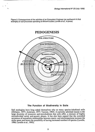 Diversity of Soil Fauna and Ecosystem Function | PDF