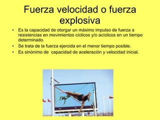 Fuerza velocidad o fuerza explosiva Es la capacidad de otorgar un máximo impulso de fuerza a resistencias en movimientos cíclicos y/o acíclicos en un tiempo determinado. Se trata de la fuerza ejercida en el menor tiempo posible. Es sinónimo de  capacidad de aceleración y velocidad inicial. 