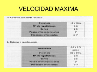 VELOCIDAD MAXIMA 