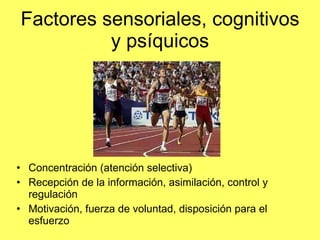 Factores sensoriales, cognitivos y psíquicos Concentración (atención selectiva) Recepción de la información, asimilación, control y regulación Motivación, fuerza de voluntad, disposición para el esfuerzo 