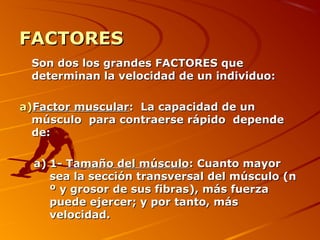 FACTORESFACTORES
Son dos los grandes FACTORES queSon dos los grandes FACTORES que
determinan la velocidad de un individuo:determinan la velocidad de un individuo:
a)a)Factor muscularFactor muscular: La capacidad de un: La capacidad de un
músculo para contraerse rápido dependemúsculo para contraerse rápido depende
de:de:
a)a) 1-1- Tamaño del músculoTamaño del músculo: Cuanto mayor: Cuanto mayor
sea la sección transversal del músculo (nsea la sección transversal del músculo (n
º y grosor de sus fibras), más fuerzaº y grosor de sus fibras), más fuerza
puede ejercer; y por tanto, máspuede ejercer; y por tanto, más
velocidad.velocidad.
 