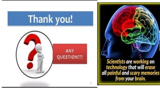 lavendar presentation.pptx