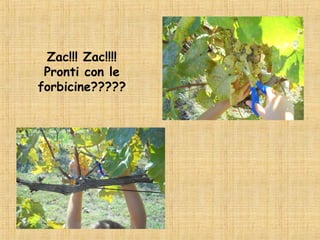 Zac!!! Zac!!!!
 Pronti con le
forbicine?????
 