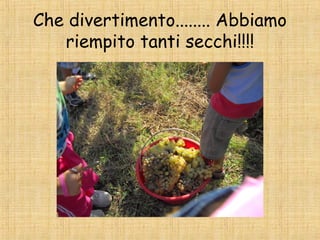 Che divertimento........ Abbiamo
   riempito tanti secchi!!!!
 