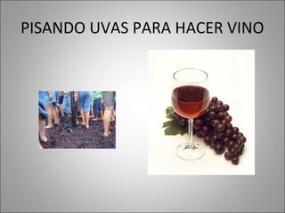 PISANDO UVAS PARA HACER VINO
 